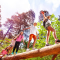 Fun Activities and Games in Sterling, Virginia
